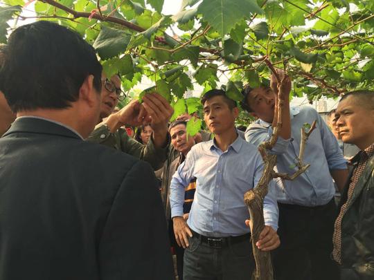 南昌市贫困地区创业致富带头人帮扶培训班在新建区举办