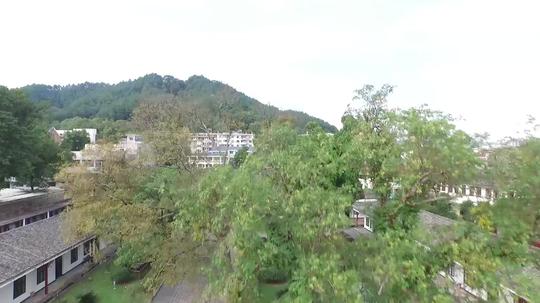 龙岩长汀航拍_1920x1080_高清视频素材下载(编号:)