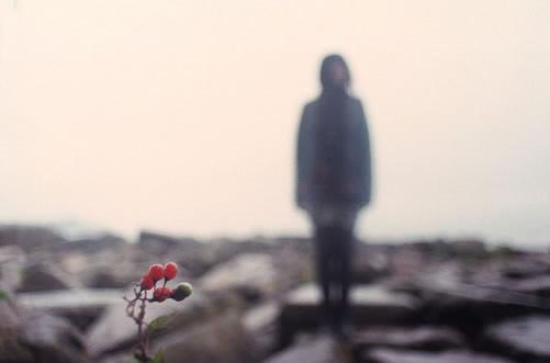 清明节qq空间唯美伤感素材_祭祀我们孤单走过