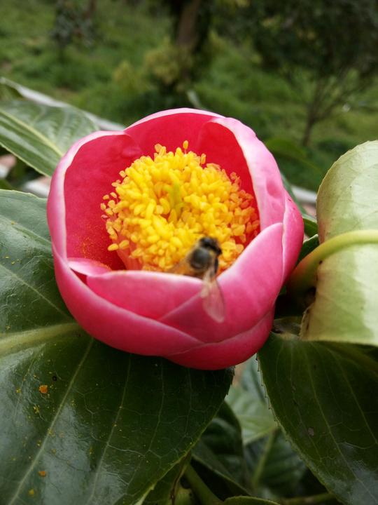 寻春――春时节万物生长
