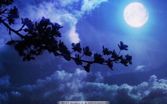 美丽的夜晚月亮风景美丽的夜晚月亮风景高清图片素材下载春天夜色