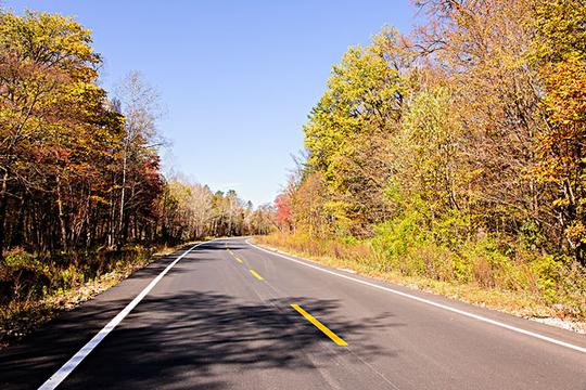 秋天公路_图片大全—全景创意图库（quanjing.com）中国领先的正版图片视频素材网站