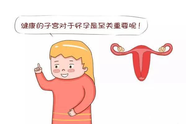 双子宫怎么治疗好一点