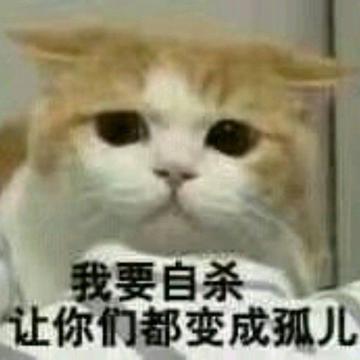 彼尔德金馆长表情包