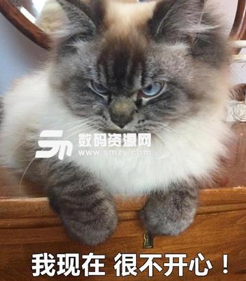 看不我大爽，极度不爽表情包