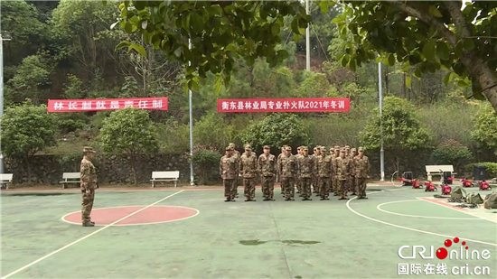 宝宝一使劲有出血点