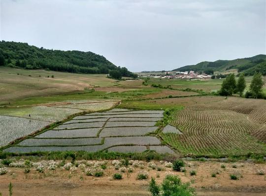 明年农村最赚钱的项目出炉了,一大批藤县人要富得流油