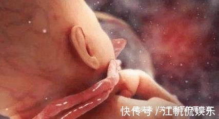 男人一些坏习惯对胎儿的影响