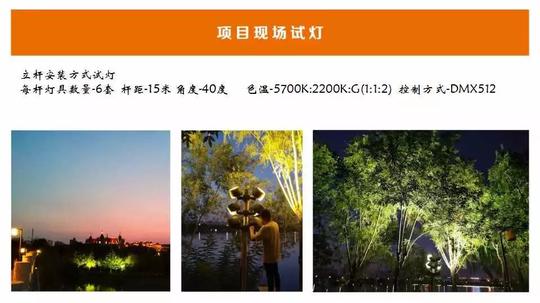 傅创业:唐山南湖景观树照明应用深度解析