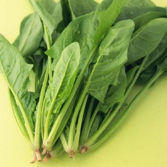 【蔬之鲜】新鲜菠菜限时特卖本地菠菜500g