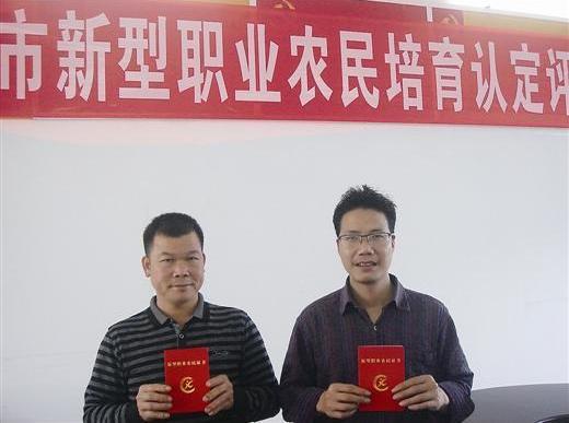 未来农村这4种行业将会非常挣钱想挣钱的农民可得提前入行