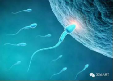 3种性交情况影响受孕