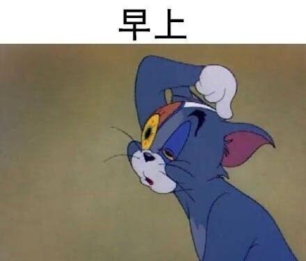 抖音汤姆猫每天状态表情图片