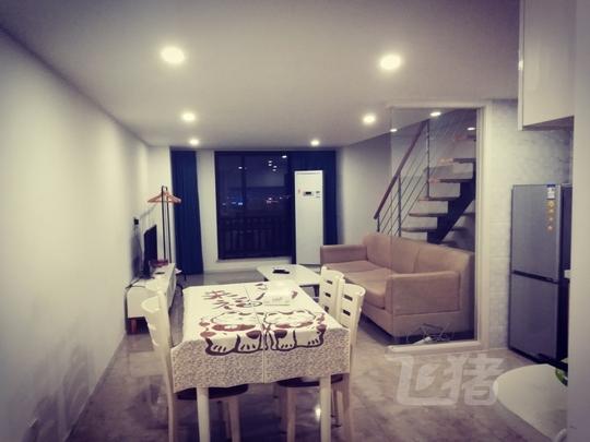 地铁11号线嘉定西天华学院精装loft