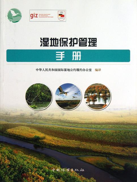 过年春节带娃保护手册