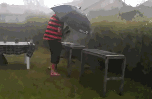 而第二天一睁眼就乌云密布,湿哒哒的雨水从早下到晚,一片乌鸦飞过,顺