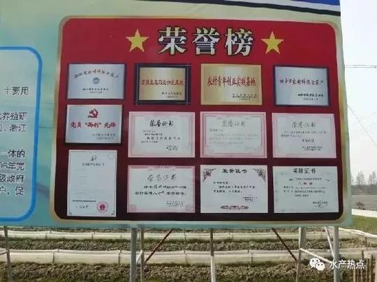 回乡再创业,立志开发精深加工产品做大产业链