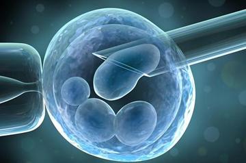 试管婴儿 （IVF） 中移植了多少个胚胎？