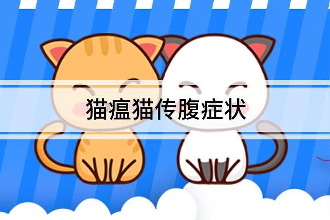 如何在家自测猫瘟和猫传腹？