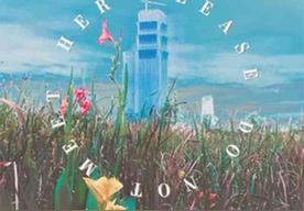 别遇见她(toM/音药配方)