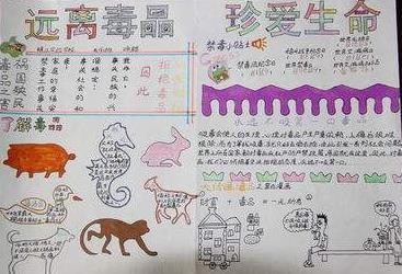 拒绝毒品,珍爱生命作文600字