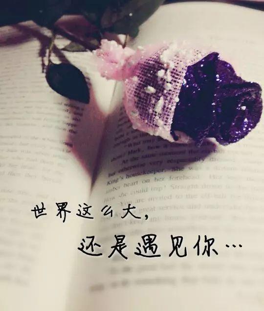 承蒙遇见你,未来还请多多关照
