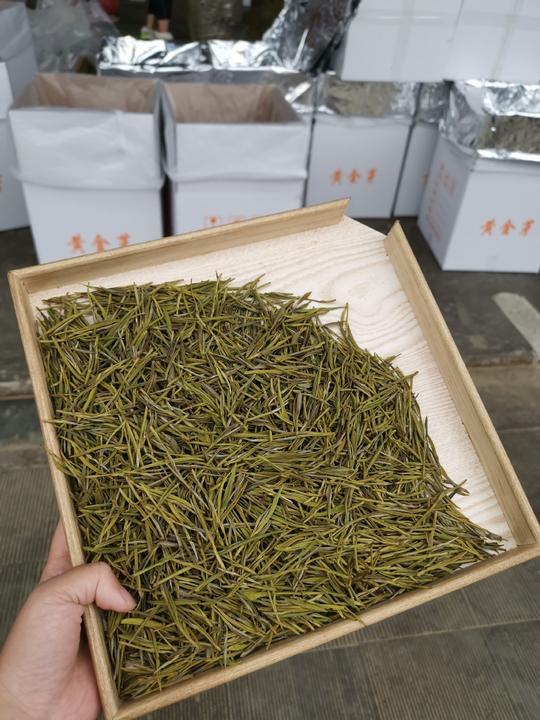 2020好茶高山手工茶叶黄金芽厂家直销量大包邮可送礼自饮