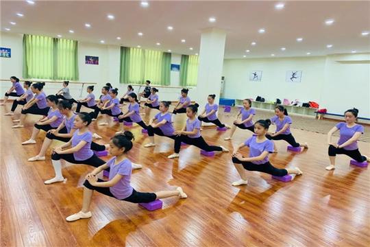 舞蹈学校加盟有哪些
