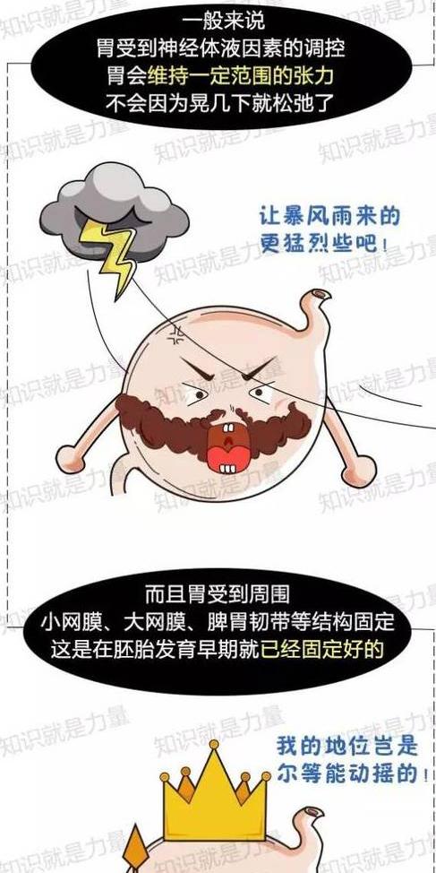 真相揭秘|饭后运动会导致胃下垂吗?