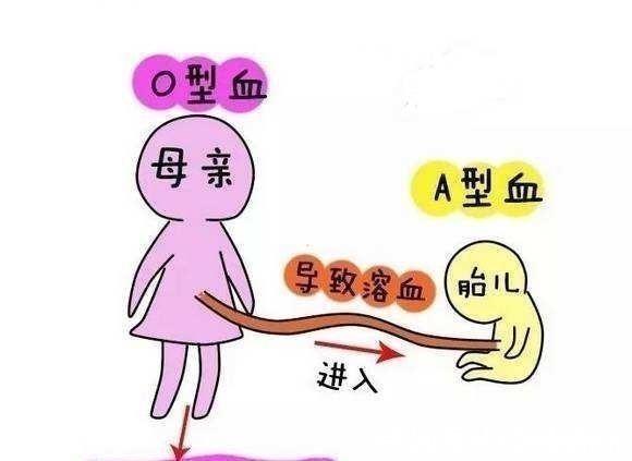 贫血的妈妈生出的孩子会贫血吗