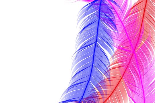 羽毛背景素材_图片大全—全景创意图库（quanjing.com）中国领先的正版图片视频素材网站