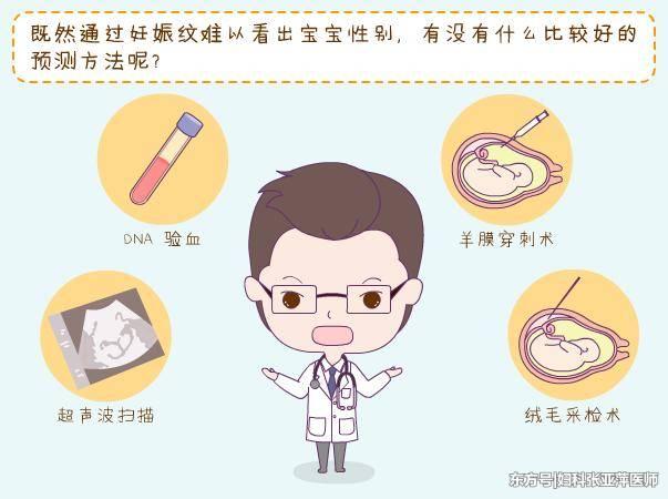 妊娠反应能揭示胎儿性别吗