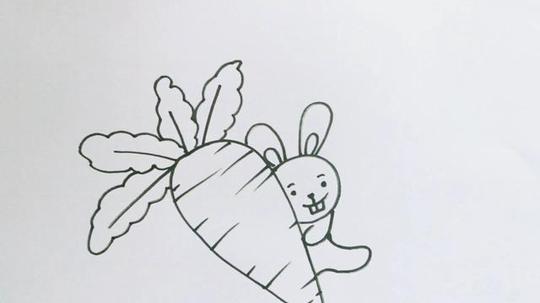 吃萝卜的兔子简笔画