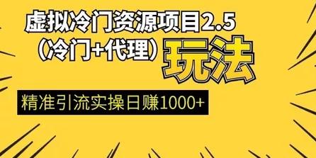 虚拟冷门资源项目2.5(冷门&代理玩法)精准引流实操日赚1000+
