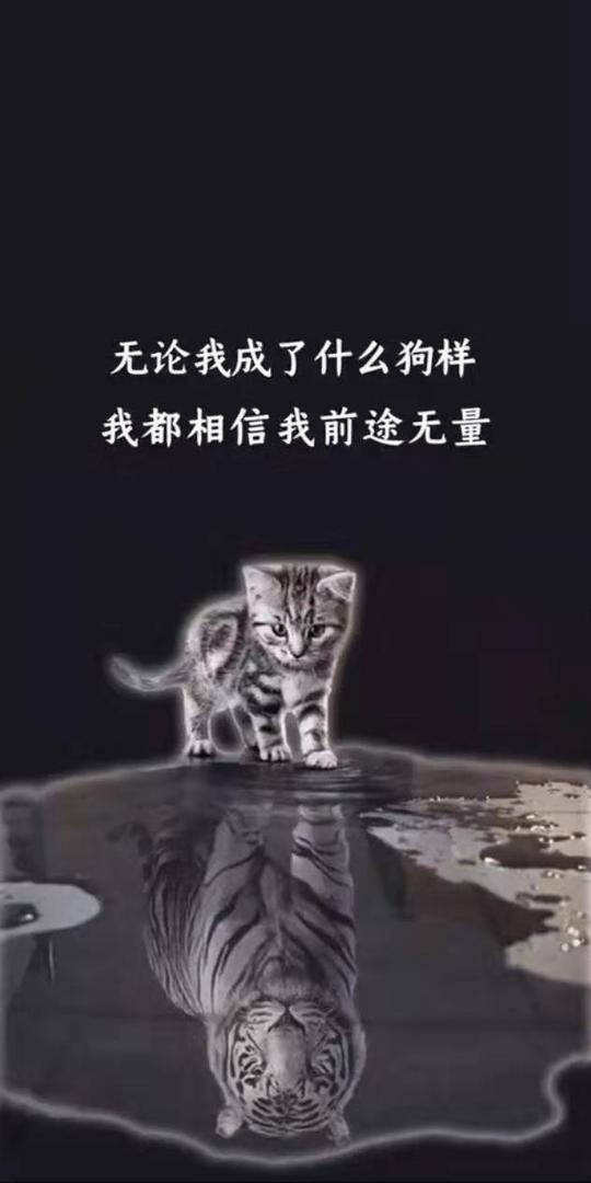 抖音超火手机锁屏壁纸-qq图片库-qq生活网