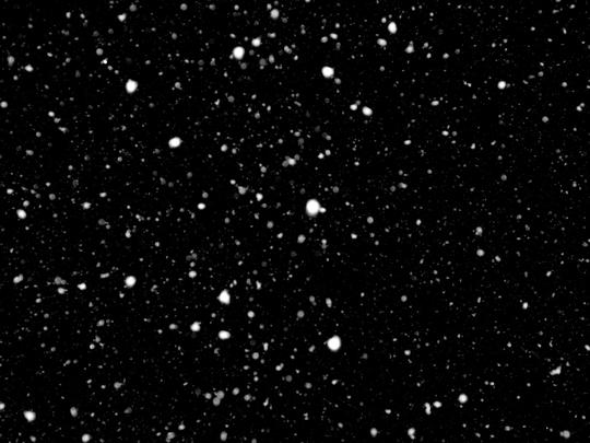 雪下雪落雪雪花雪花飘散素材雪素材唯美暴风雪大雪飞雪雪景雪花飘落渲