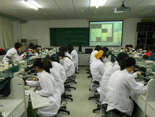 政策红包给力高校教师进入离岗创业季