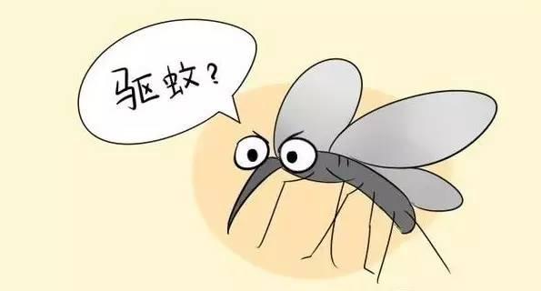 夏天宝宝招蚊子咬怎么办