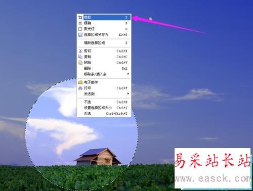 站长网_站长创业__之