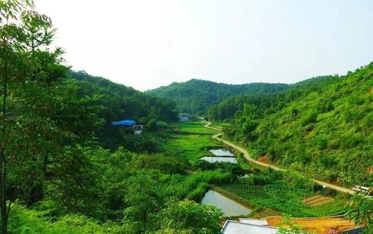 他90天改造一个破农房，竟成为京郊爆款小院，每天吃山楂、掰玉米