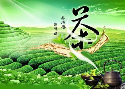 30万年薪硕士创业卖茶叶土豪变富豪