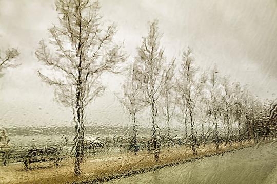下雨_图片大全—全景创意图库（quanjing.com）中国领先的正版图片视频素材网站