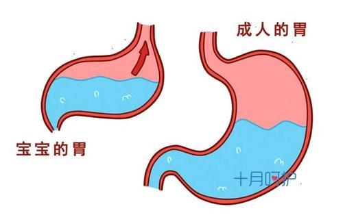 什麼吐奶是不正常的什麼樣的吐奶是不正常的