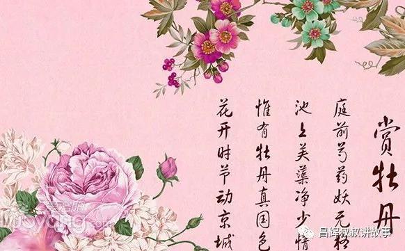 赏牡丹的句子,我喜欢美丽的牡丹花写一句话? 赞美牡丹花的优美诗句 碎碎语 第1张 赏牡丹的句子,我喜欢美丽的牡丹花写一句话? 赞美牡丹花的优美诗句 碎碎语 第1张