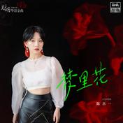 梦里花(陈乐一)