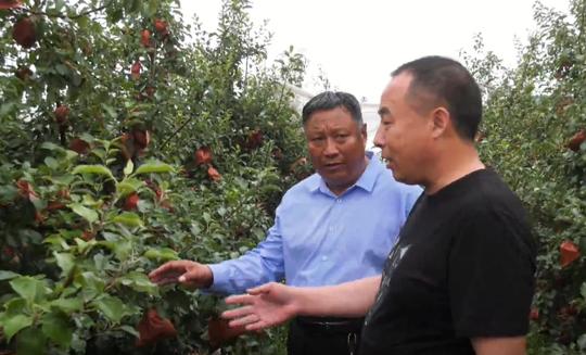 蒙阴:“果树认养”开启助农增收新模式