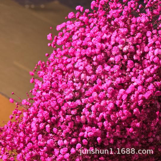 满天星勿忘我干花鲜花云南地摊跑江湖成都