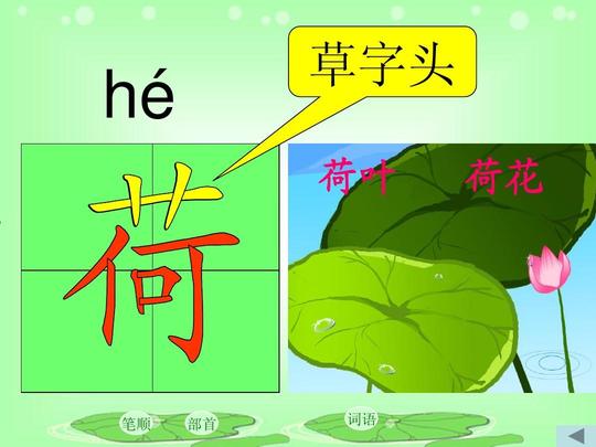 37荷叶圆圆ppt