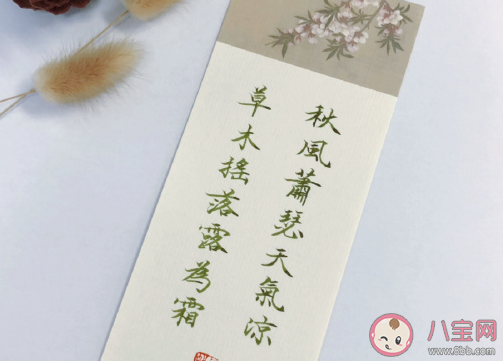 三伏天热一些还是秋老虎热一些