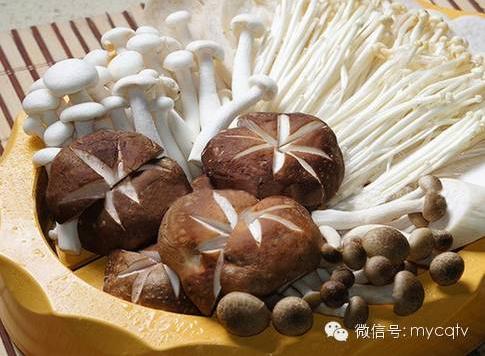 7)真菌食品中含有多糖物质和干扰素诱导剂,能抑制肿瘤.